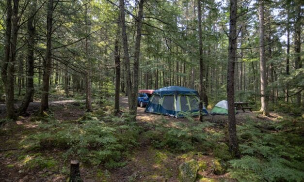 North Lake Provincial Park abandoned by government for second time