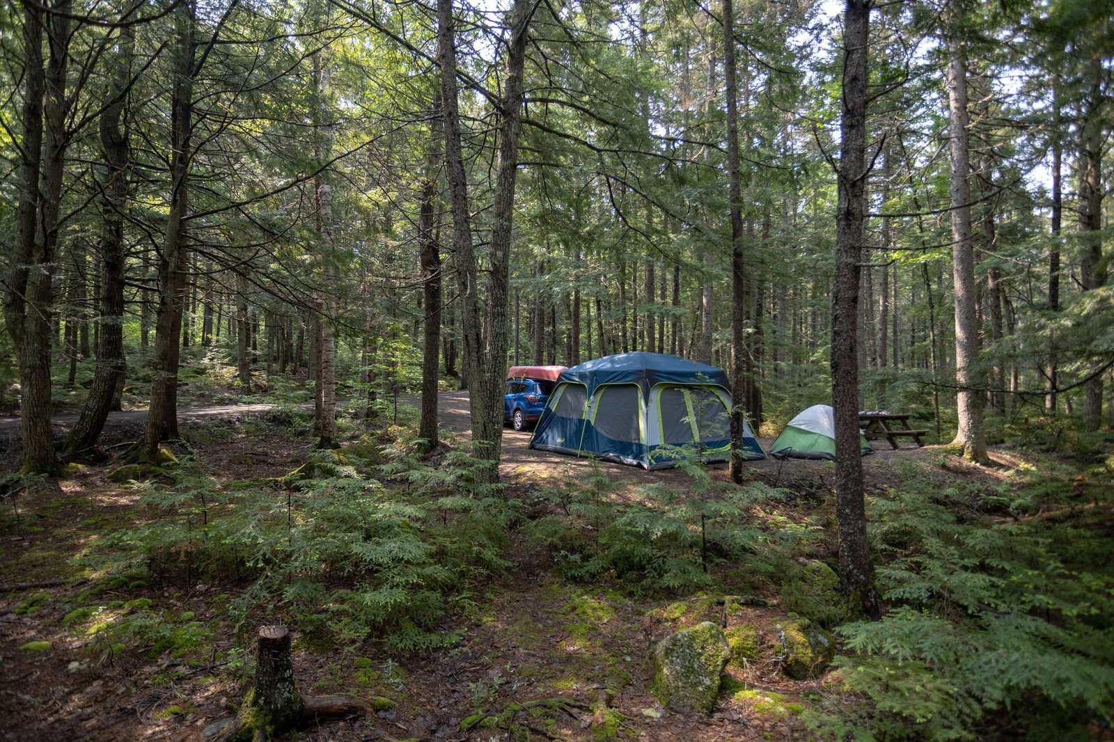 The North Lake Provincial Park will not open this summer. (North Lake Provincial Park photo)