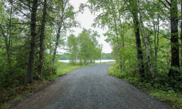 MUNICIPAL ELECTION 2026: Lakeland Ridges