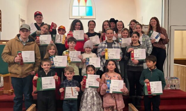 Debec 4-H Club hosts Communication Day