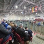 Record sales for 73rd Annual Carleton County Spring Show & Sale