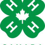 Debec 4-H caring about the environment