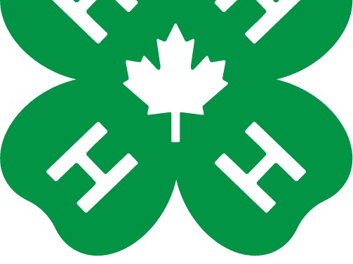 Debec 4-H caring about the environment