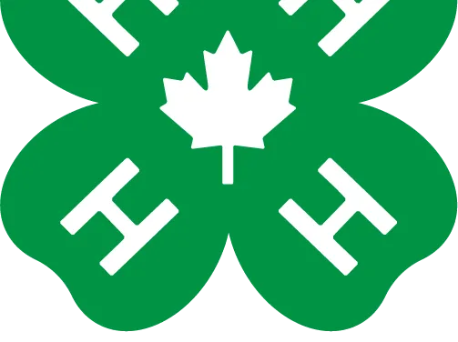Debec 4-H caring about the environment
