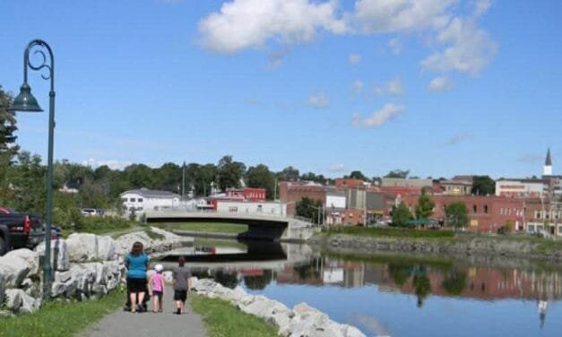 MUNICIPAL ELECTION 2026: Woodstock