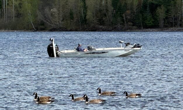 Destination Nackawic Bass Open massive success