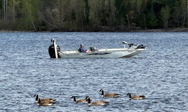 Destination Nackawic Bass Open massive success