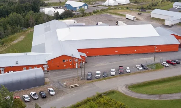 Export leaders, including a Perth-Andover company, recognized as N.B. top performers