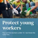 N.B. government reminds employers of rules when hiring young people