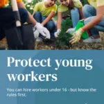 N.B. government reminds employers of rules when hiring young people