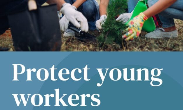 N.B. government reminds employers of rules when hiring young people