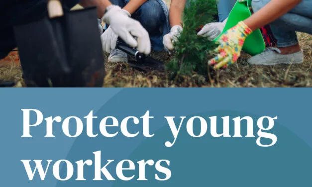 N.B. government reminds employers of rules when hiring young people