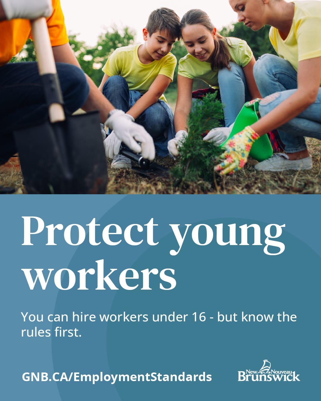 (Government of New Brunswick image)