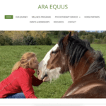 ‘Horses meet you where you’re at’ – Ara Equus brings equine therapy to Carleton County