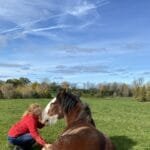 ‘Horses meet you where you’re at’ – Ara Equus brings equine therapy to Carleton County