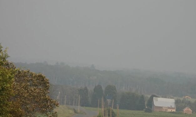 Smoke from wildfires in Quebec impacting air quality, visibility in western N.B.
