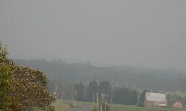 Smoke from wildfires in Quebec impacting air quality, visibility in western N.B.