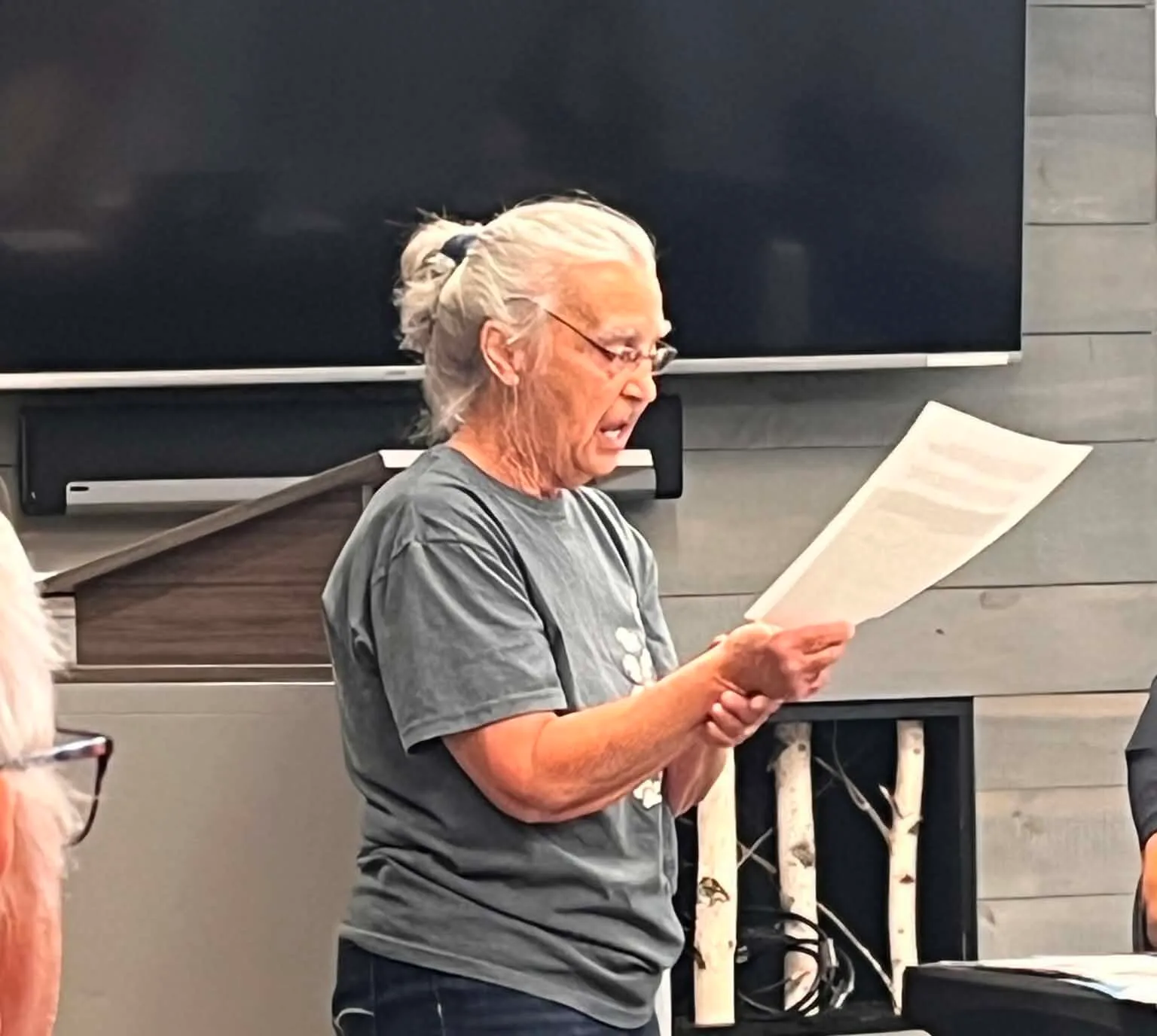 Carleton County Animal Shelter acting president Joanne Reid presenting her report to Woodstock Town Council on July 28. (Erin Seifarth photo)
