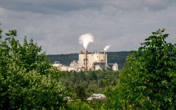 AV Nackawic halts all wood deliveries until further notice