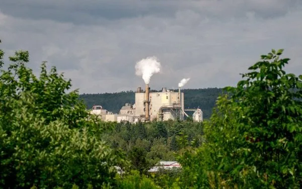 AV Nackawic halts all wood deliveries until further notice