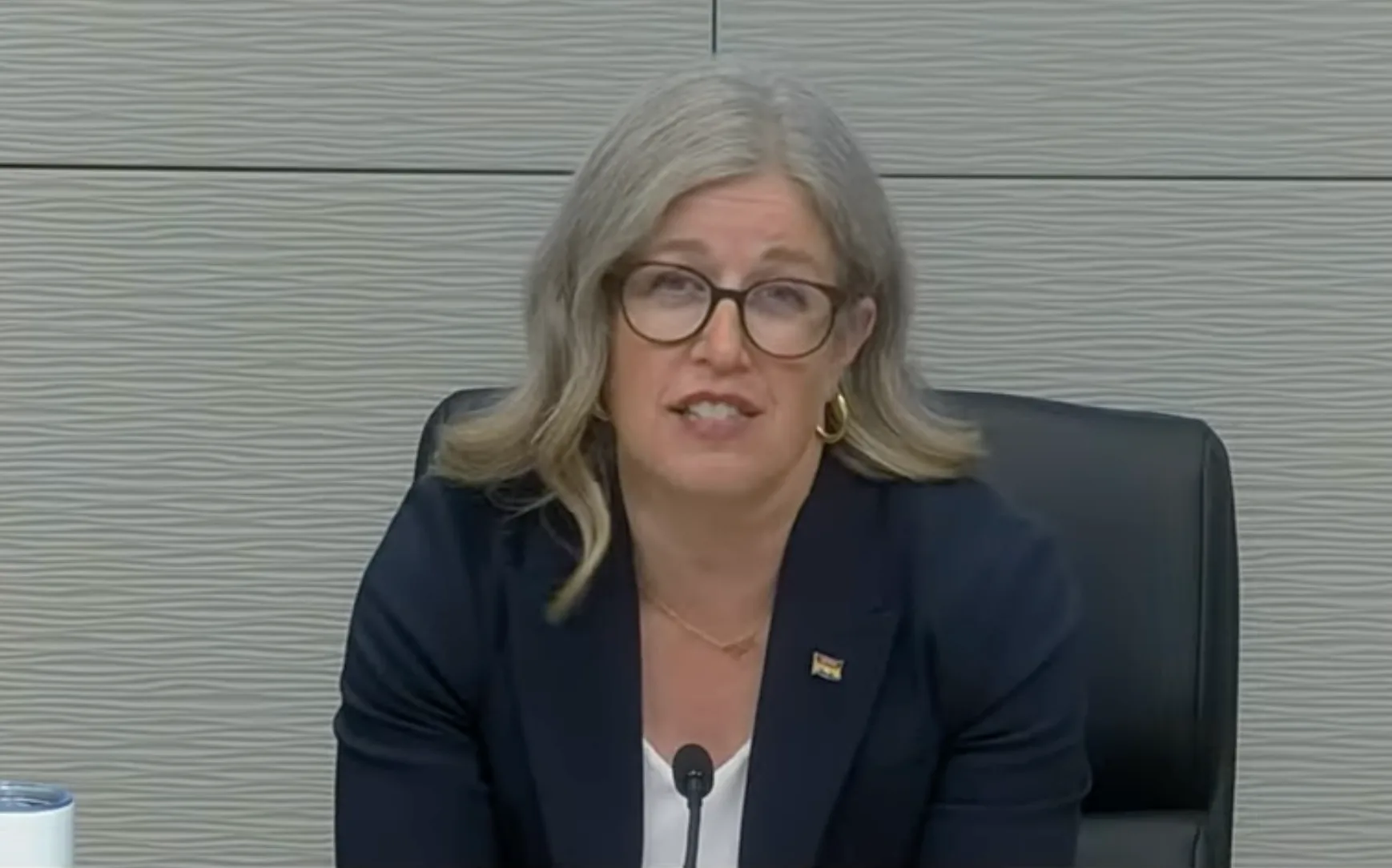 Premier Susan Holt discussing review of natural gas development. (Submitted photo)