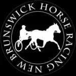 Horse Racing N.B. halts Connell Park races