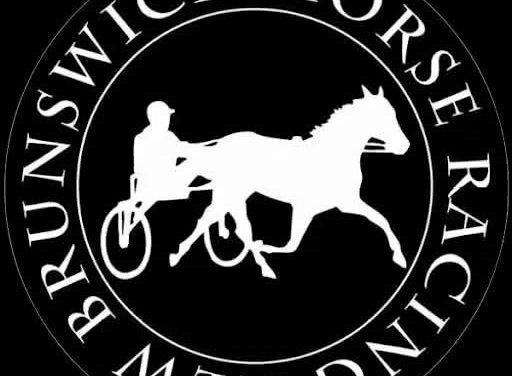 Horse Racing N.B. halts Connell Park races