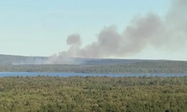 Wildfire near Forest City now ‘contained’