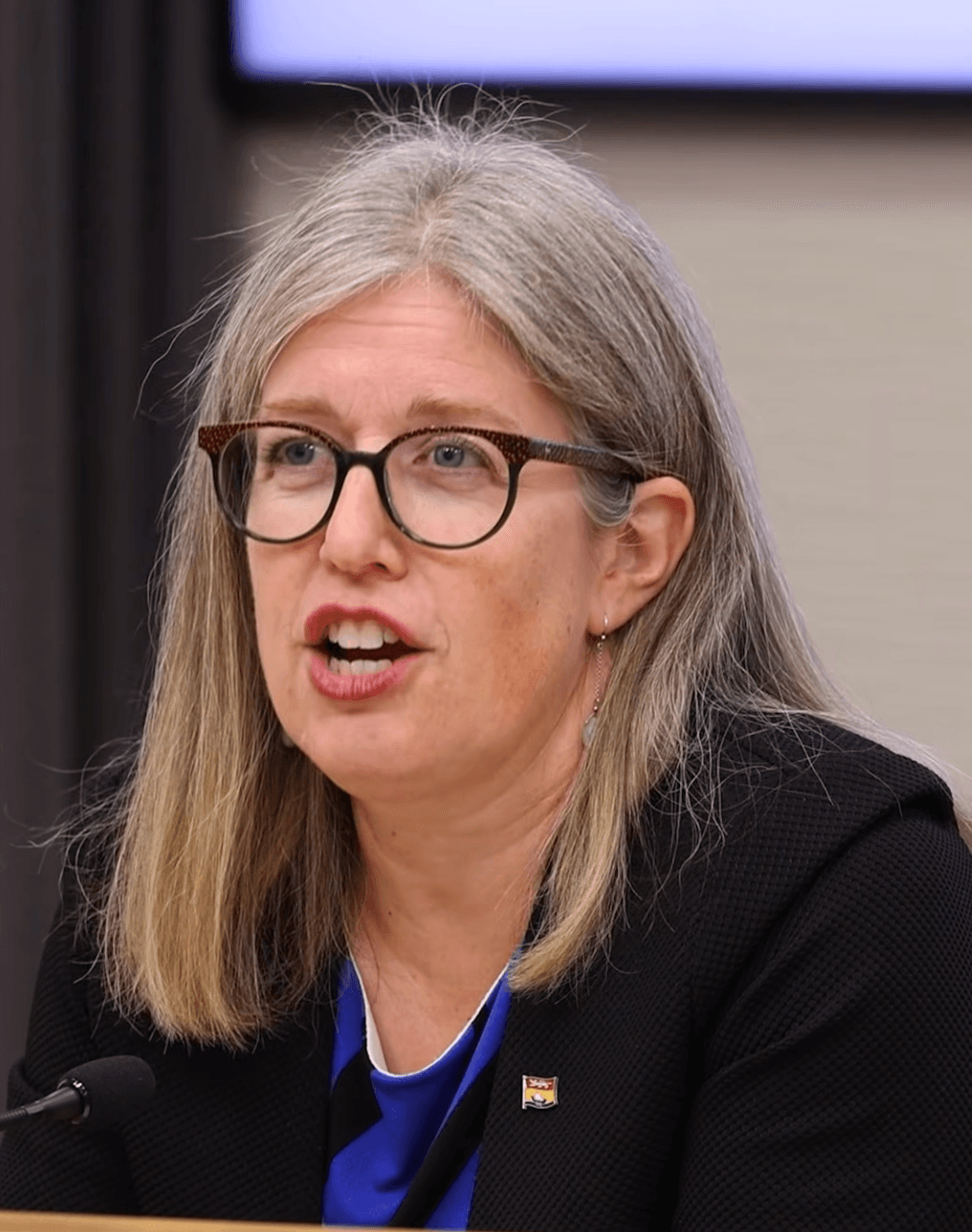 On Thursday, Sept. 24, N.B. Premier Susan Holt and Health Minister Dr. John Dornan announced a new patient-attachment system. (GNB video screencapture)