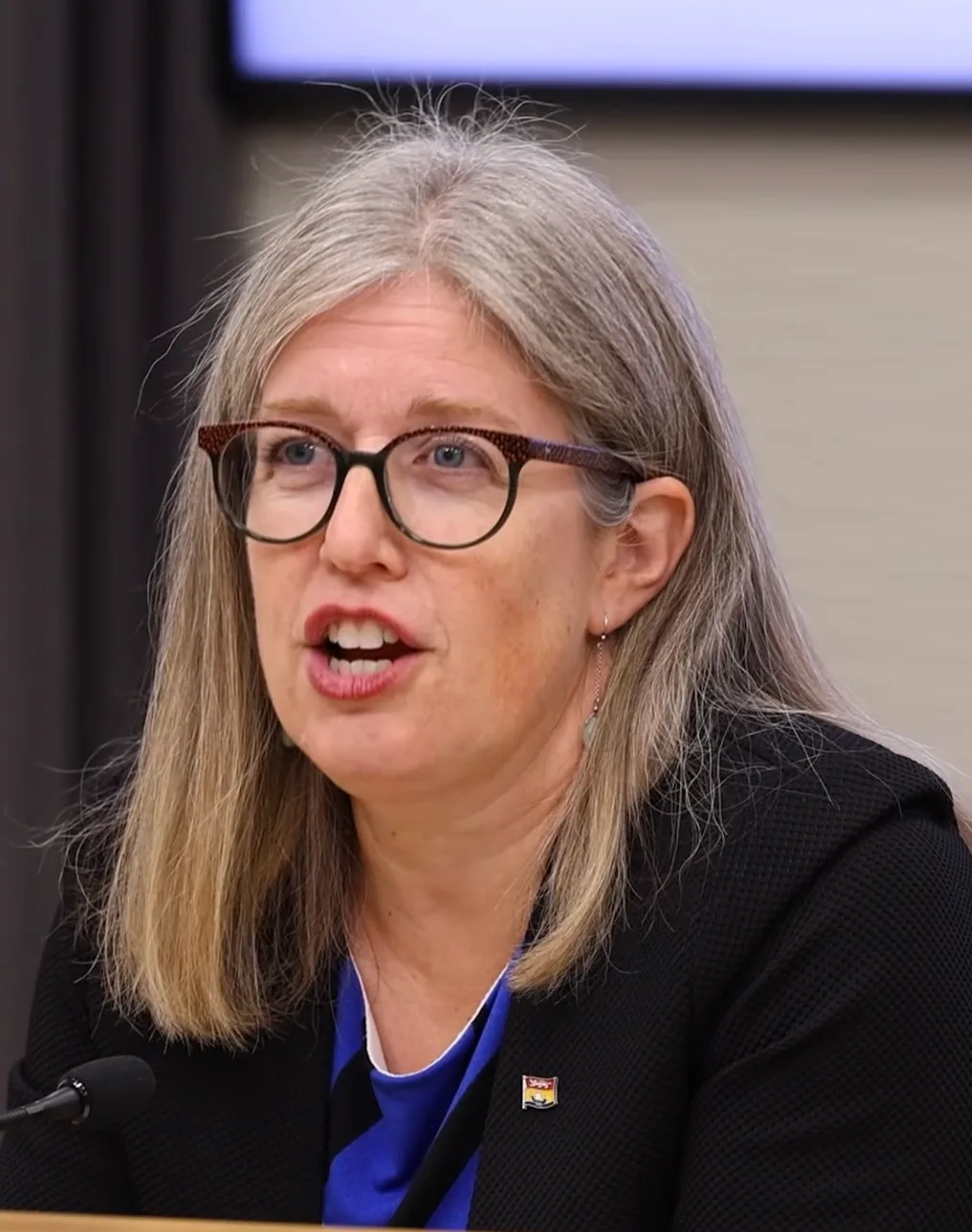 On Thursday, Sept. 24, N.B. Premier Susan Holt and Health Minister Dr. John Dornan announced a new patient-attachment system. (GNB video screencapture)
