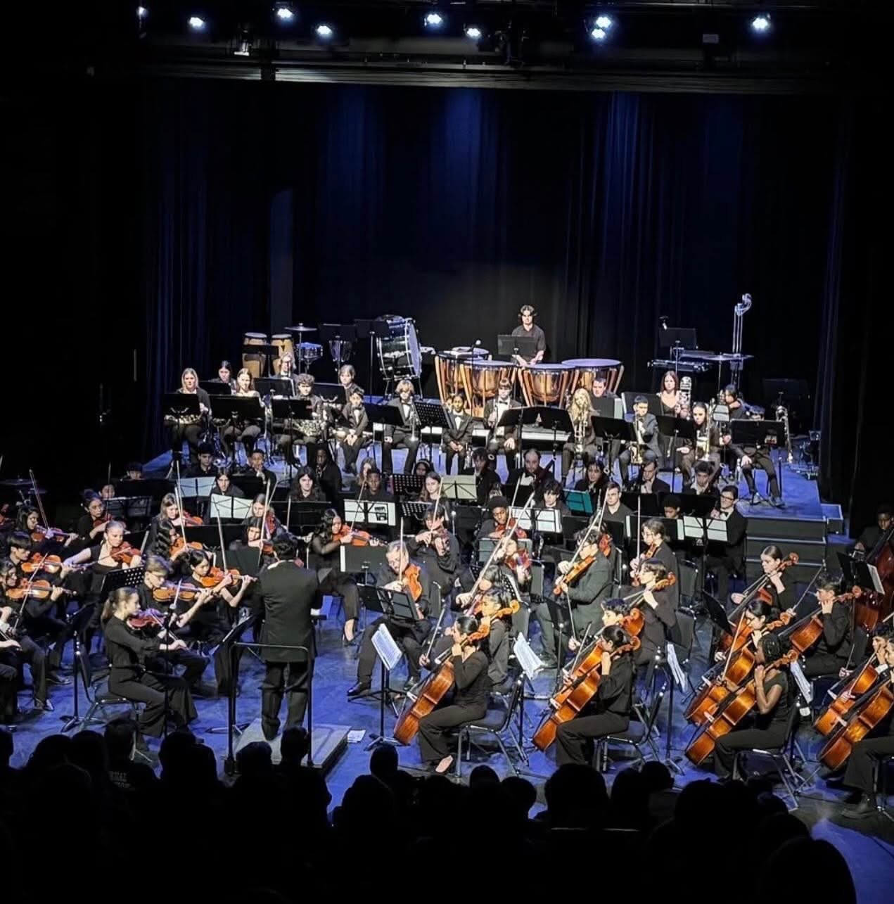 The New Brunswick Youth Orchestra will be performing at the McCain Community Theatre in Woodstock on Oct. 24. (NBYO photo)