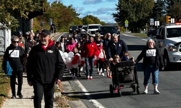 Walk a Mile in Her Shoes: a step towards IPV awareness